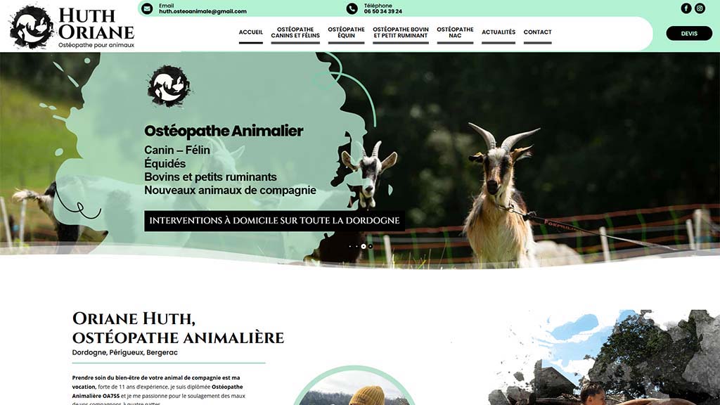 Ostéopathe-animalier 2